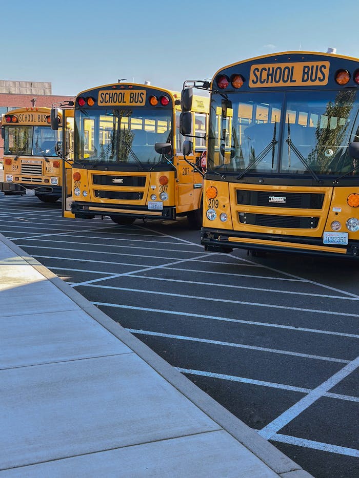 Multiple yellow school buses stationary in a parking lot under a clear sky.
